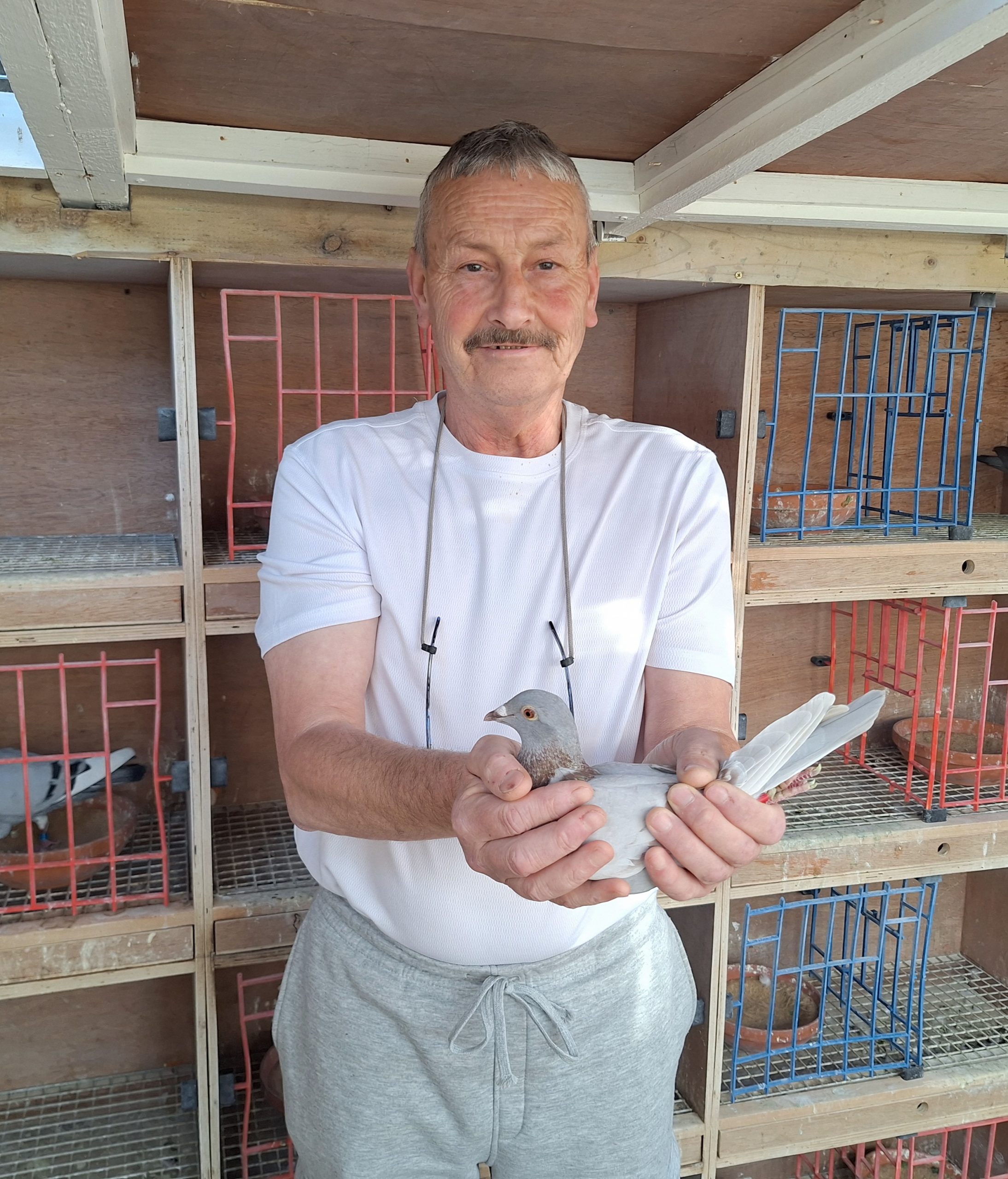 (I) Lot 31 , 1x2026 yb bred by J Ward