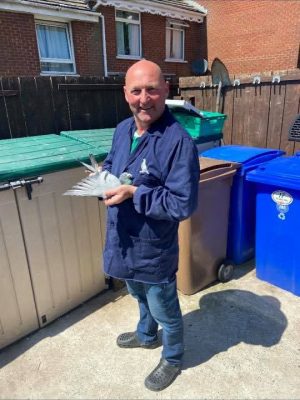 (K) Lot 11 , 2x2026 ybs bred by Conor McManus,  direct of a son of New Young Kittel & daughter of New Young Blizzard , parents pedigrees attached