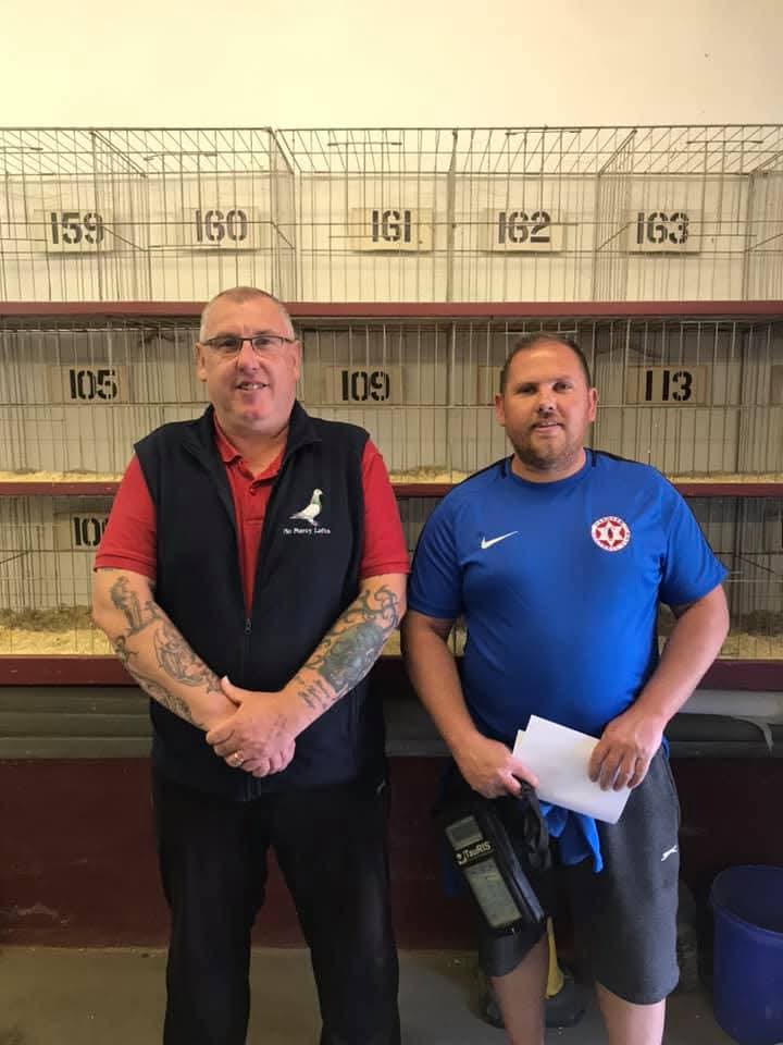 (R) Lot 18 , 2x2026 ybs offered up be S&E Buckley, young birds from the stock loft from 2 different nests.