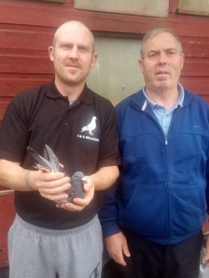 (M) Lot 13 , 2x 2026 ybs bred by J&D Braniff. Super lot from one of the very best racing lofts in the Nipa.