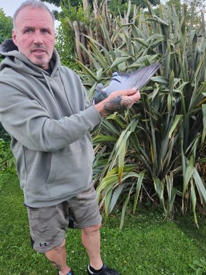 (O) Lot 15 , 2x2026 ybs offered up by Mcmurray & Anderson. Nipa section c old channel fancier of the year 2025