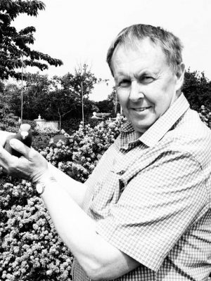 (P) Lot 16 , 2x2026 ybs offered up by Geoffrey Douglas