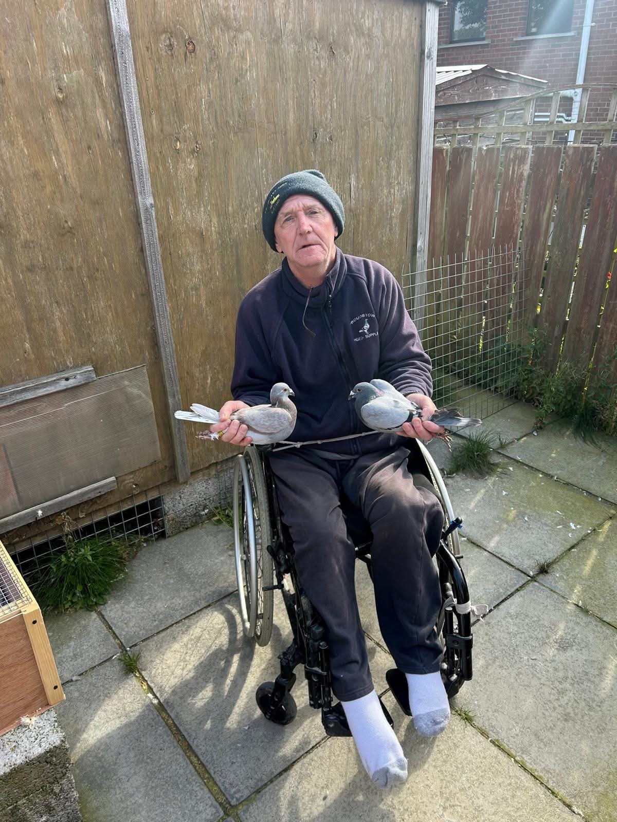 (S) Lot 19 , 2x2026 ybs offered up by Ardy O'Hanlon. One of the top lofts in the ulster fed , winner of this years Dunmanway yb derby. Ardy bred 1st open Nipa this year. He has the very best of Herbie Thorpes bloodlines.