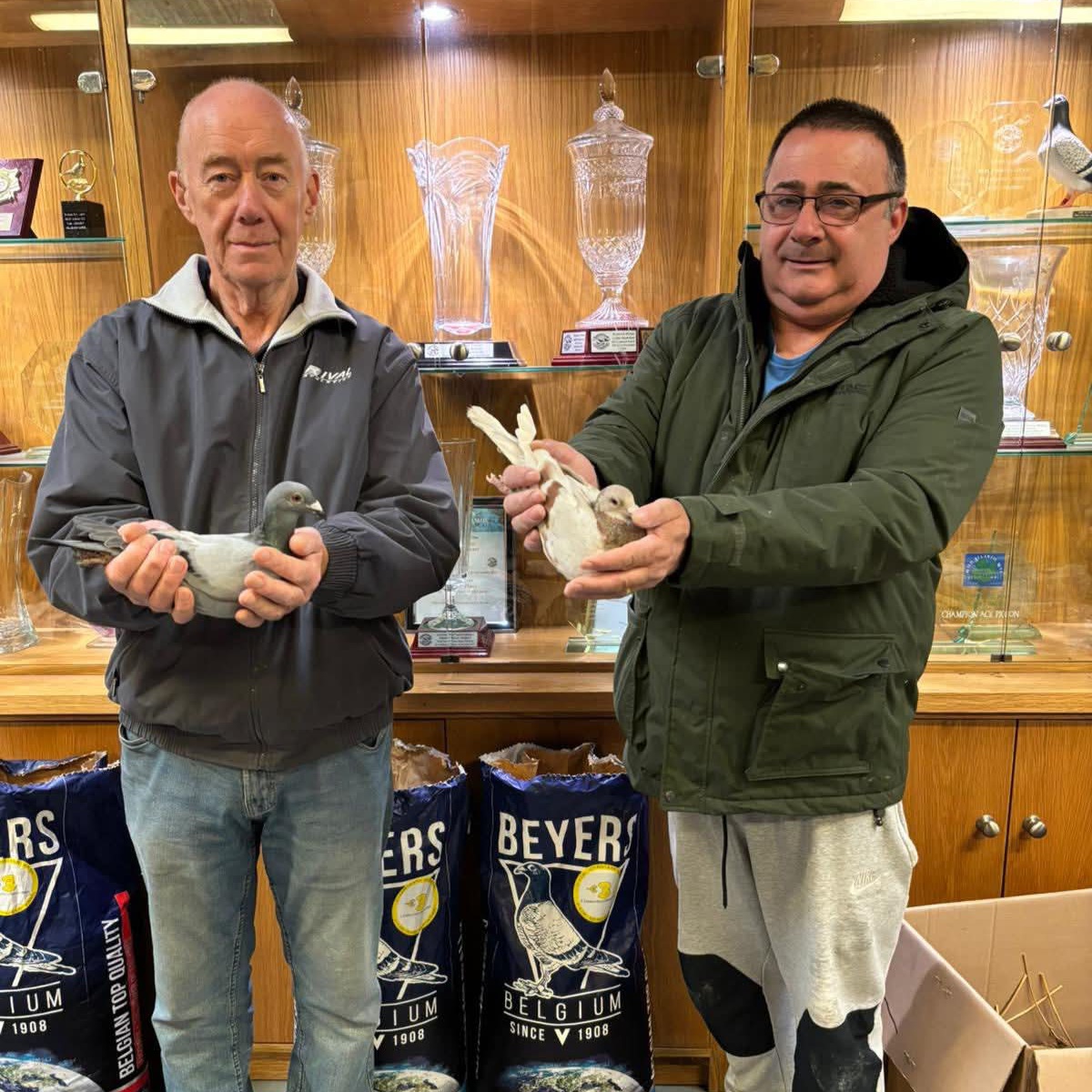 (R) Lot 41 , 1x2026 youngbird offered up by Herbie Thorpe. Herbie has one of the best breeding studs in Ireland. Breeding multiple winners