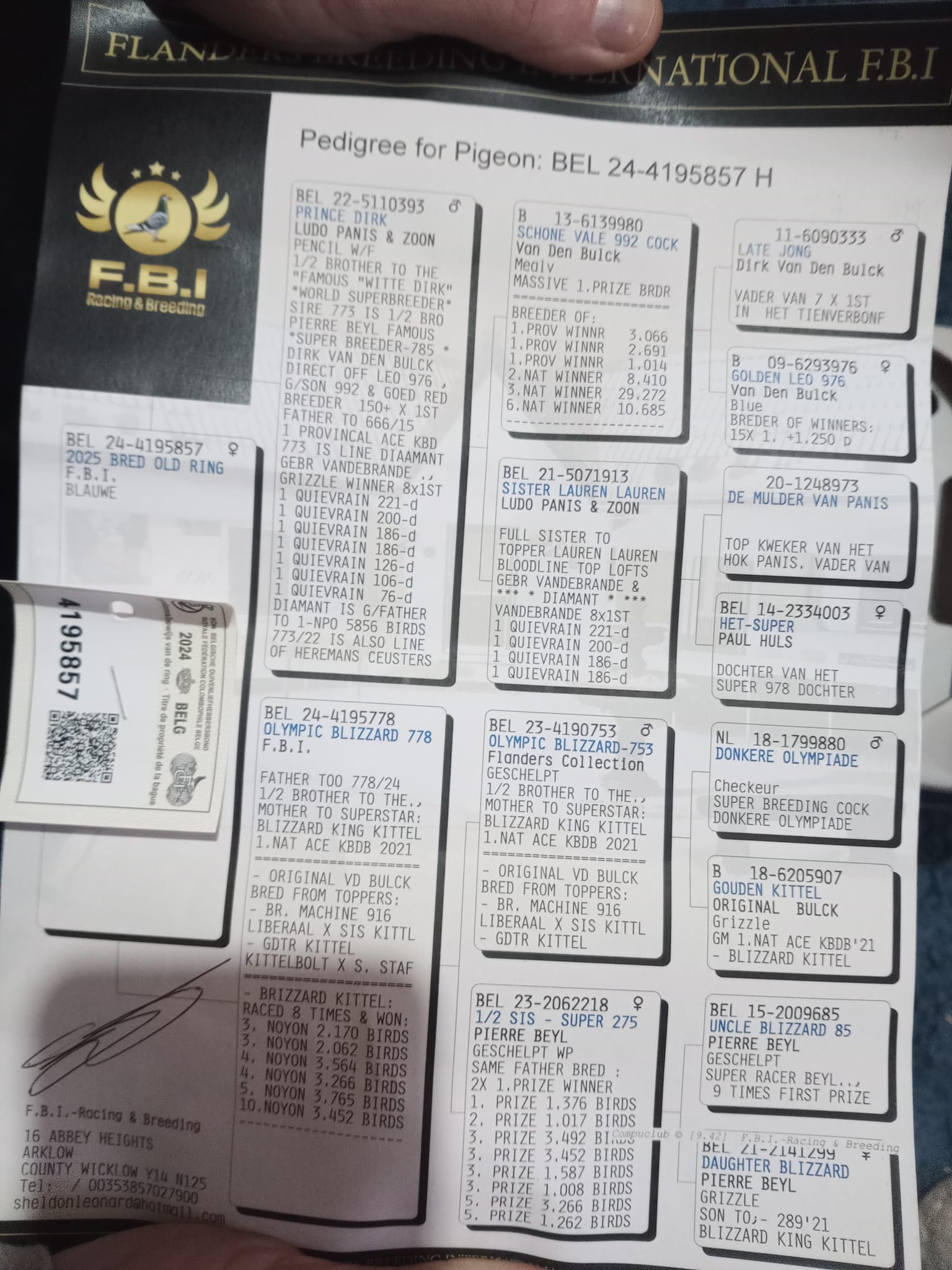 (L) Lot 12 , offered up by Sheldon Leonard, pedigree attached - Image 2