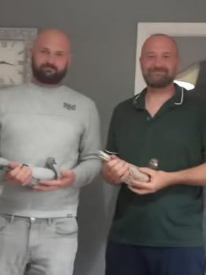 (F) Lot 6 , 1x2026 yb bred by Lee Wilson. The yb in the auction from Lee will be a double grandchild of Michael Atcheson champion Gregor. Sire & dams pedigree added