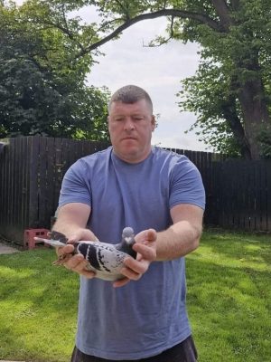 (I) Lot 9 , 1x2026 yb bred by Ciaran McVeigh, 1 yb same way bred as Justice 1st open nipa 16,663 birds or pick a yb from stock