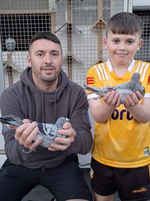 (E) Lot 5 , 1x 2026 youngbird,  bred by J Ward & son. The yb will be direct from bebos blunder,  2x times st malo. Hes breeding birds to score from france. This bloodline have topped fed from Dale , Bude , Talbenny yb derby & Plougastel