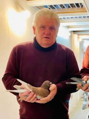 (U) Lot 21 , 2x2026 ybs offered up by Jim Braniff (Shalimar Lofts) Jim has had some fantastic results from france. Jim has topped the ulster fed , previous winner of skibbereen old bird derby