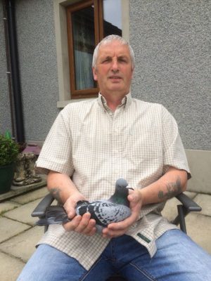 (Zz) Lot 50 , 2x2026 youngbirds offered up by McConville brothers