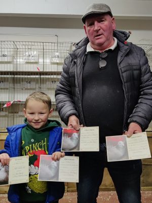 (J) Lot 10 , 1×2026 yb bred by L Magee & Son , Jack & Olly are small team fanciers.These guys are a prominent pigeon racing partnership based in Lisburn, competing within the Lisburn & District HPS and the Northern Ireland Provincial Amalgamation (NIPA). Racing Performance and Highlights National Success: Super partnership, previous winners of 1st & 2nd Penzance INFC youngbird national, The partnership topped Section D multiple times. The magee partnership are know for their super team of Busschaerts.