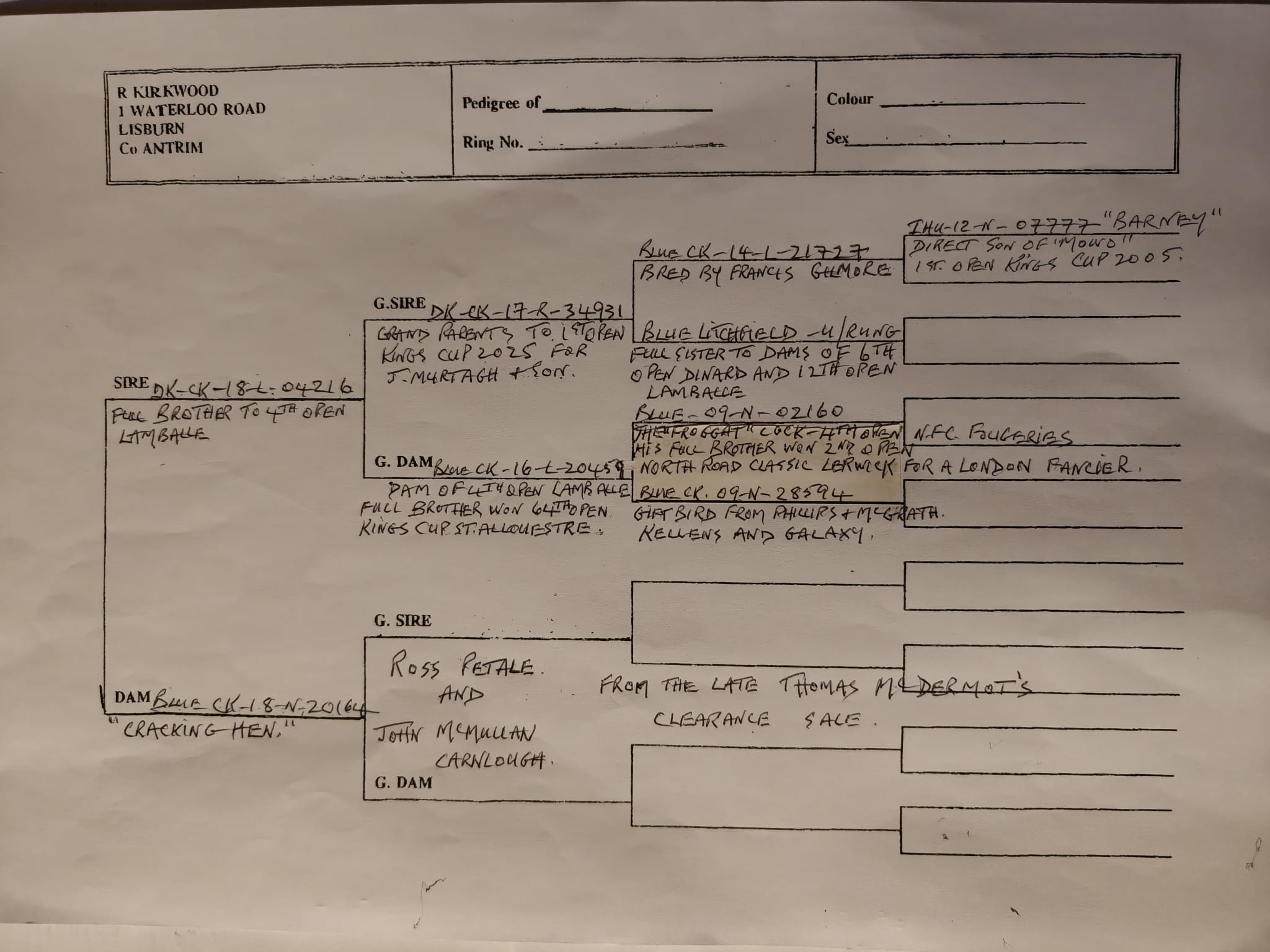 (I) Lot 9 ,2x2026 youngbirds offered up by Robert & June Kirkwood. Robert has a superb team of distance pigeons. Buyer won't be disappointed. Pedigree added - Image 2