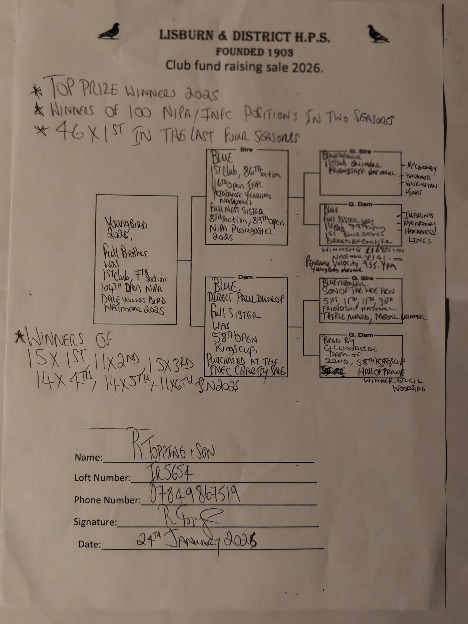 (E) Lot 5 , 1x2026 youngbird bred by R. Topping & Son , these guys are highly successful pigeon racing partnership based in Lisburn, Northern Ireland. They are prominent members of the Northern Ireland Provincial Amalgamation (NIPA), specifically competing in Section D within the Lisburn & District H.P.S.. Outstanding record winning 46x1st over the past 4 seasons - Image 2