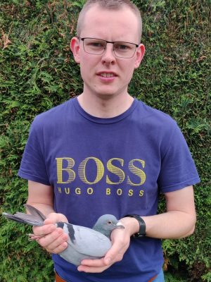 (K) Lot 11 , 1×2026 youngbird bred by R. Topping & Son , these guys are highly successful pigeon racing partnership based in Lisburn, Northern Ireland. They are prominent members of the Northern Ireland Provincial Amalgamation (NIPA), specifically competing in Section D within the Lisburn & District H.P.S.. Outstanding record winning 46x1st over the past 4 seasons