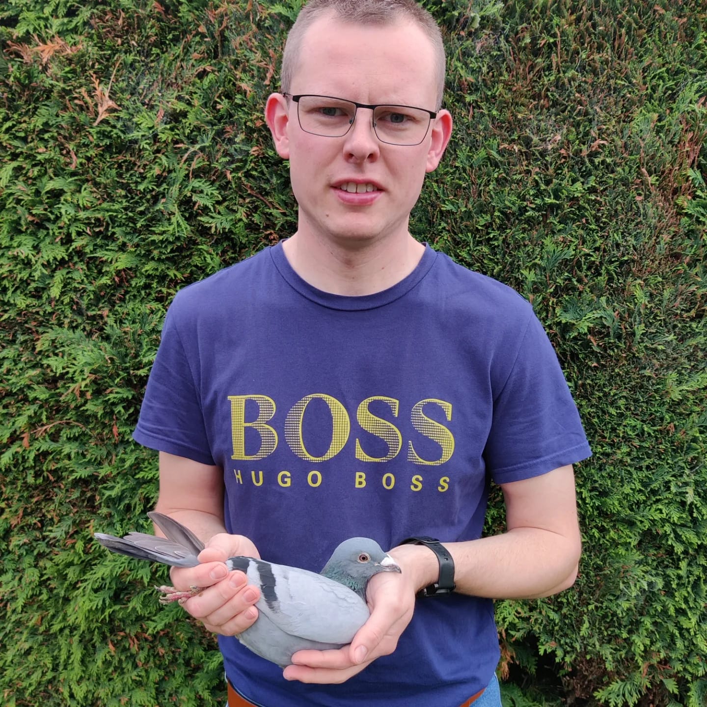 (K) Lot 11 , 1×2026 youngbird bred by R. Topping & Son , these guys are highly successful pigeon racing partnership based in Lisburn, Northern Ireland. They are prominent members of the Northern Ireland Provincial Amalgamation (NIPA), specifically competing in Section D within the Lisburn & District H.P.S.. Outstanding record winning 46x1st over the past 4 seasons