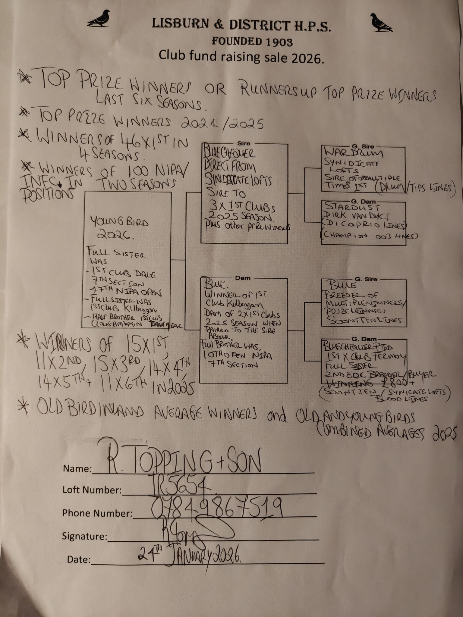 (K) Lot 11 , 1×2026 youngbird bred by R. Topping & Son , these guys are highly successful pigeon racing partnership based in Lisburn, Northern Ireland. They are prominent members of the Northern Ireland Provincial Amalgamation (NIPA), specifically competing in Section D within the Lisburn & District H.P.S.. Outstanding record winning 46x1st over the past 4 seasons - Image 2