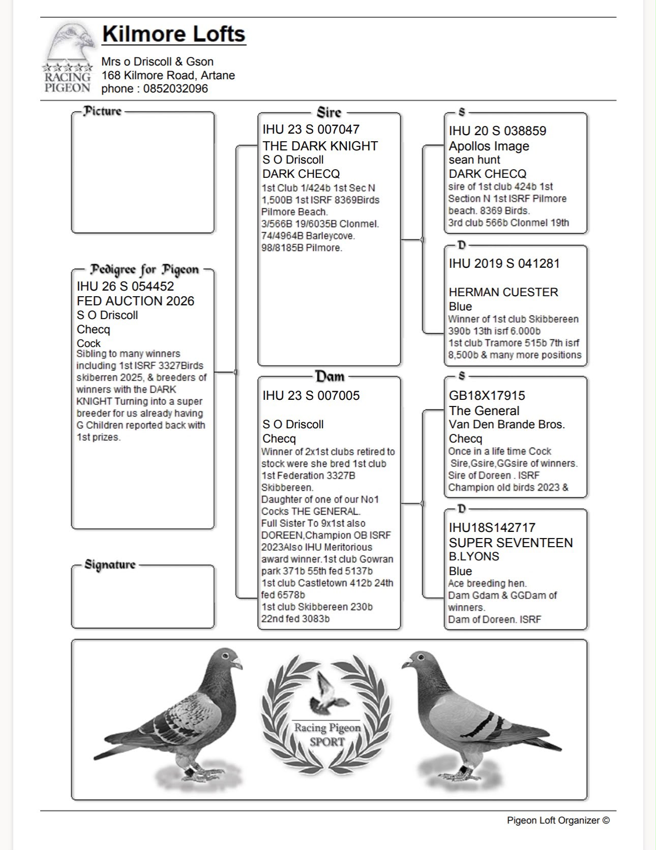 (C) lot 3 , IHU 26 S 054452 , cheq cock, bred my Sean O'Driscoll, direct of 'The Dark Knight'. Pedigree attached