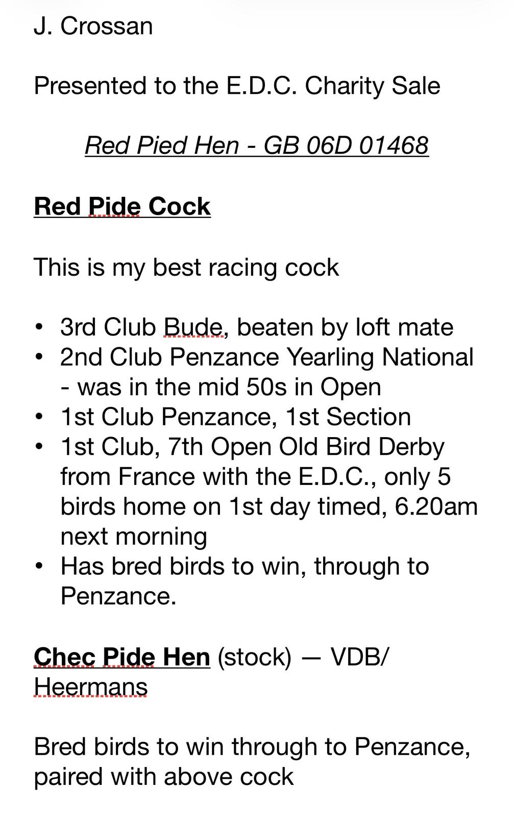 (V) Lot 22 , Jackie Crossan offers up 1x 2026 youngbird. Dams pedigree attached - Image 2