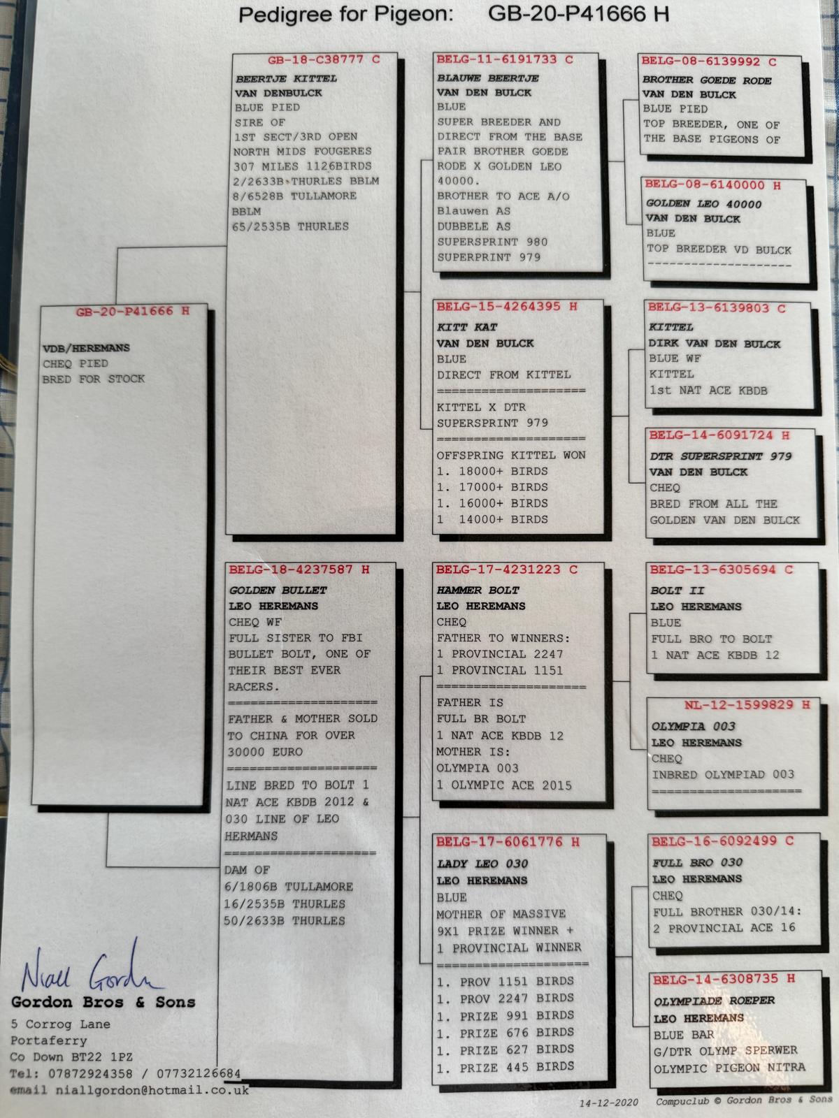 (V) Lot 22 , Jackie Crossan offers up 1x 2026 youngbird. Dams pedigree attached - Image 3