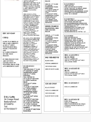 (S) Lot 19 , John Kirk offers up a 2026 bird. Pedigree attached