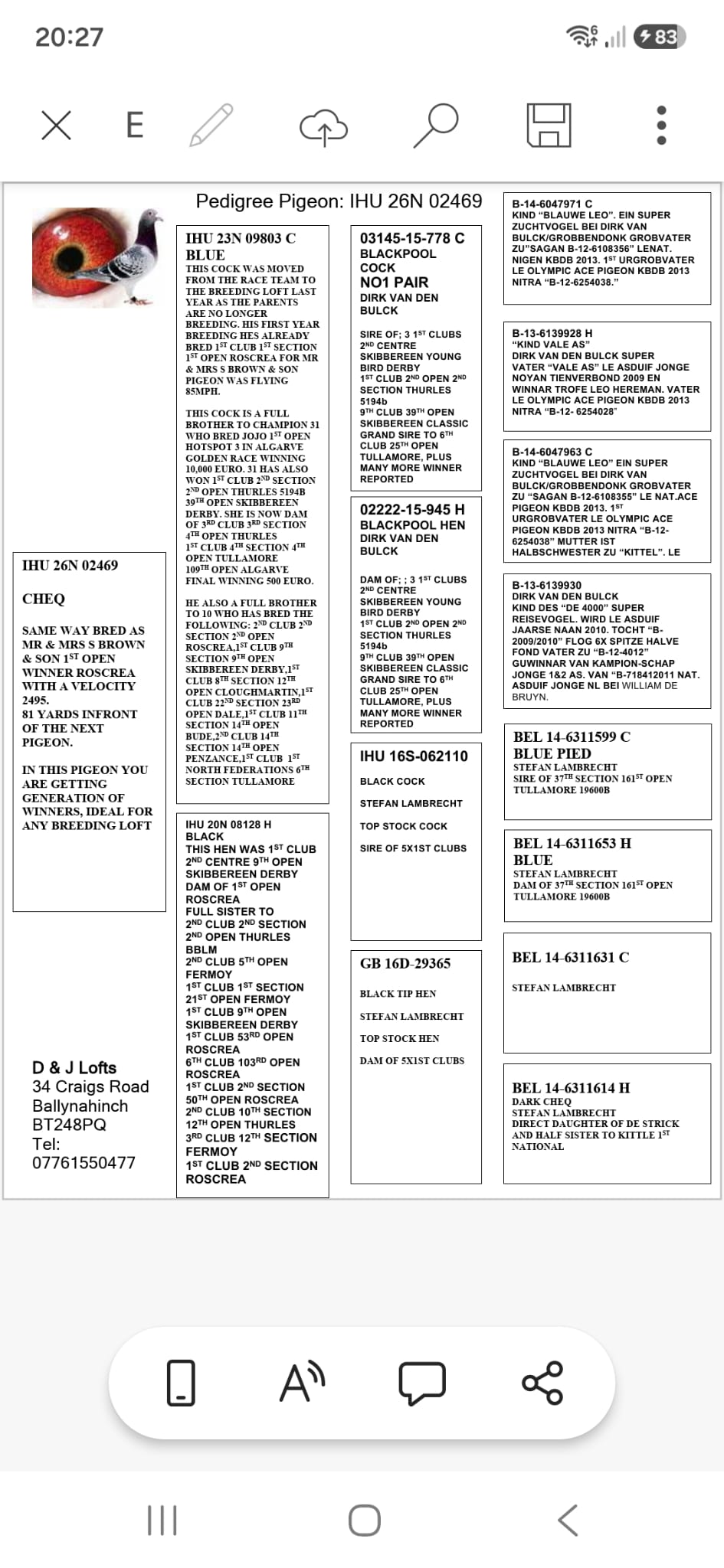 (S) Lot 19 , John Kirk offers up a 2026 bird. Pedigree attached